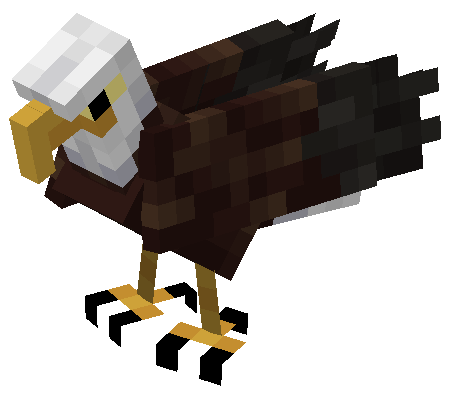 Ảnh Bald Eagle từ Alex’s Mobs