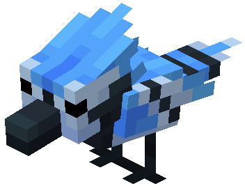 Ảnh Blue Jay từ Alex’s Mobs