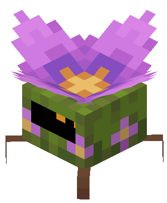 Ảnh Flutter từ Alex’s Mobs