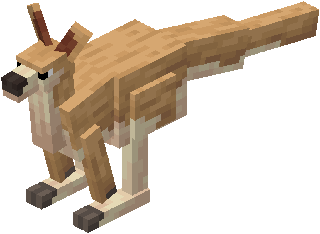 Ảnh Kangaroo từ Alex’s Mobs