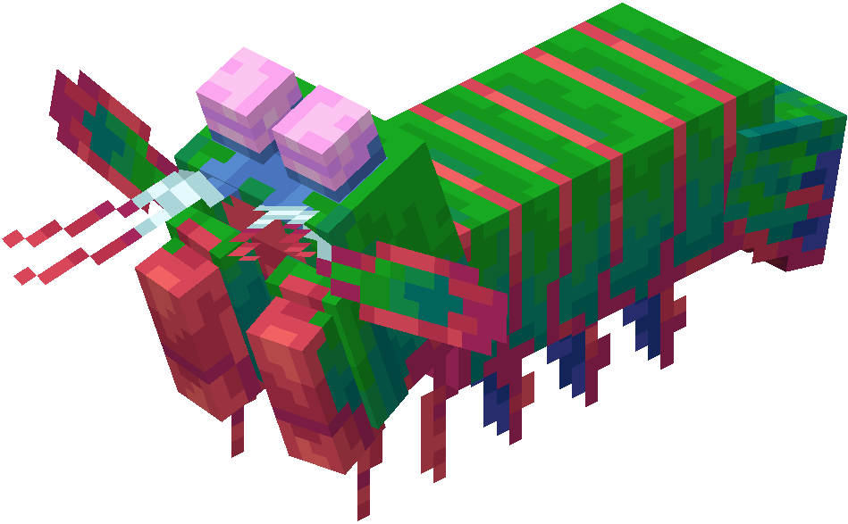 Ảnh Mantis Shrimp từ Alex’s Mobs