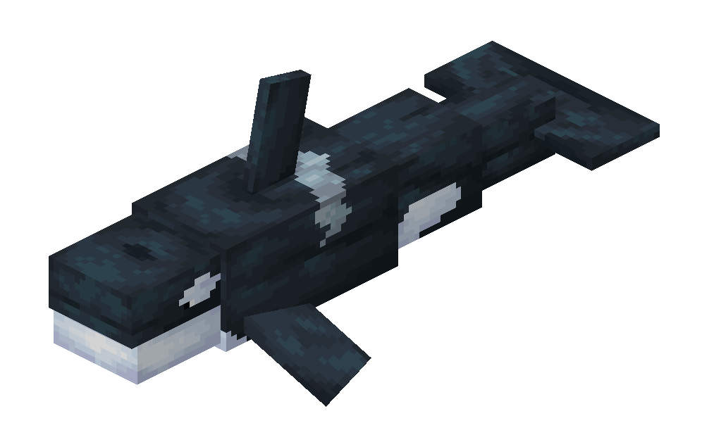 Ảnh Orca từ Alex’s Mobs