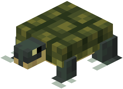 Ảnh Terrapin từ Alex’s Mobs